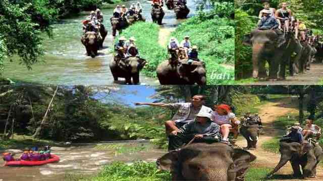 bali-elephant-ride