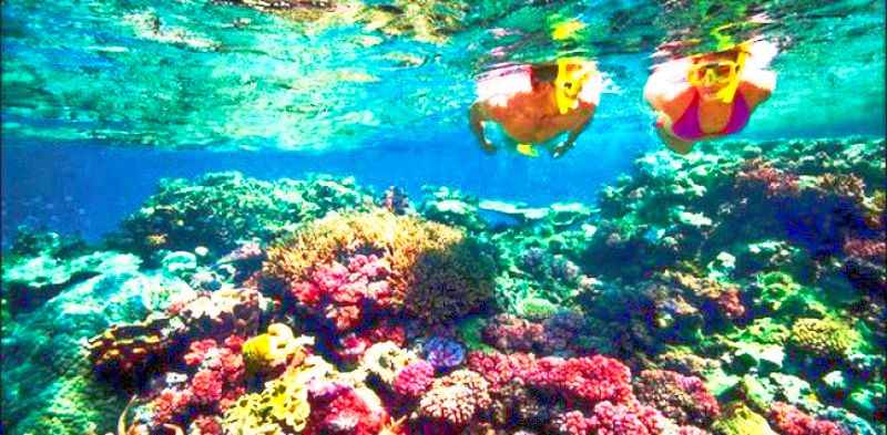 nusa-penida-snorkeling-tour-bali-island